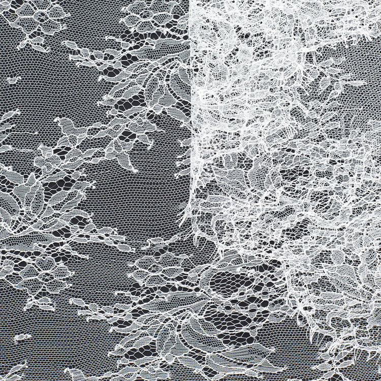 T23M04353 | Scalloped Floral Chantilly Lace - view 1